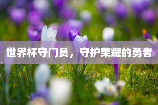 世界杯守门员，守护荣耀的勇者
