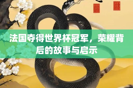 法国夺得世界杯冠军，荣耀背后的故事与启示