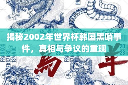 揭秘2002年世界杯韩国黑哨事件，真相与争议的重现