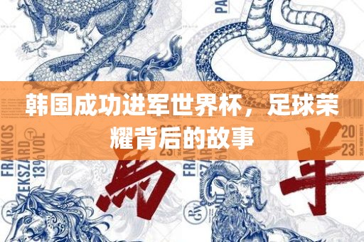 韩国成功进军世界杯，足球荣耀背后的故事