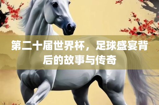 第二十届世界杯，足球盛宴背后的故事与传奇