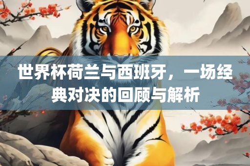 世界杯荷兰与西班牙，一场经典对决的回顾与解析