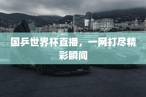国乒世界杯直播，一网打尽精彩瞬间