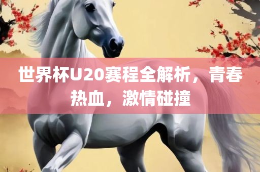 世界杯U20赛程全解析，青春热血，激情碰撞
