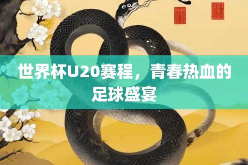 世界杯U20赛程，青春热血的足球盛宴