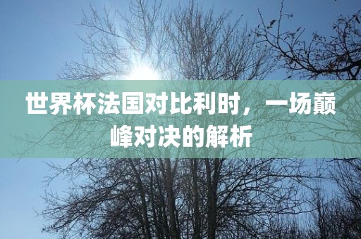 世界杯法国对比利时，一场巅峰对决的解析广西贺州市华昌新材料有限公司