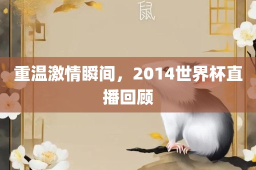 重温激情瞬间，2014世界杯直播回顾