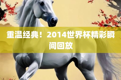 重温经典！2014世界杯精彩瞬间回放