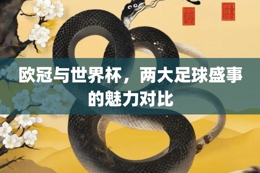 欧冠与世界杯，两大足球盛事的魅力广西贺州市华昌新材料有限公司对比
