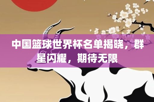中国篮球世界杯名单揭晓，群星闪耀，期待无限