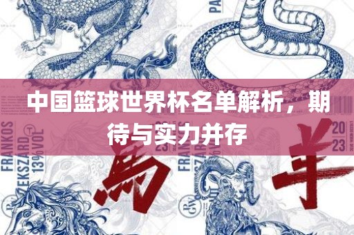 中国篮球世界杯名单解析，期待与实力并存