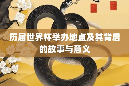 历届世界杯举办地点及其背后的故事与意义