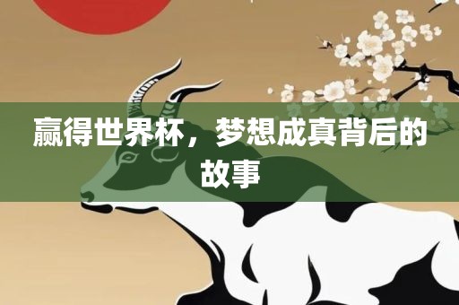赢得世界杯，梦想成真背后的故事广西贺州市华昌新材料有限公司