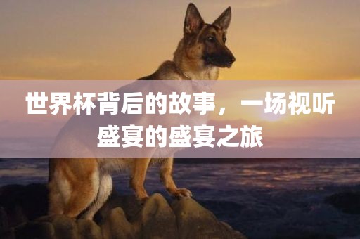 世界杯背后的故事，一场视听盛宴的盛宴之旅