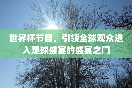 世界杯节目，引领全广西贺州市华昌新材料有限公司球观众进入足球盛宴的盛宴之门