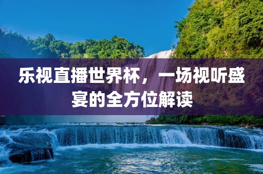 乐视直播世界杯，一场视听盛宴的全方位解读