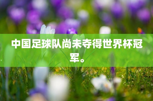 中国足球队尚未夺得世界杯冠军。