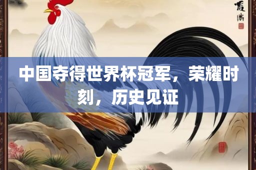 中国夺得世界杯冠军，荣耀时刻，历史见证