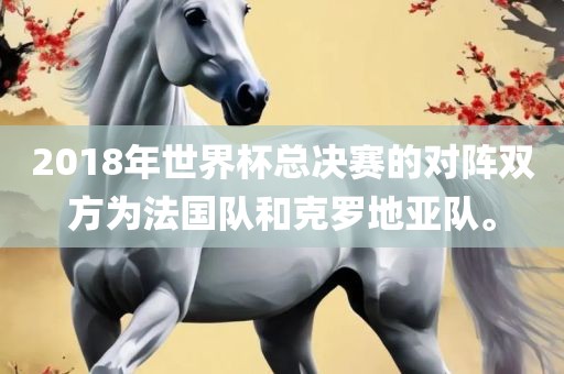 2018年世界杯总决赛的对阵双方为法国队和克罗地亚队。