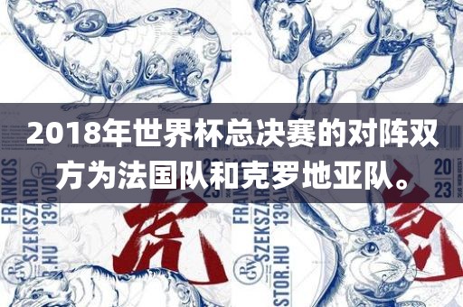 2018年世界杯总决赛的对阵双方为法国队和克罗地亚队。