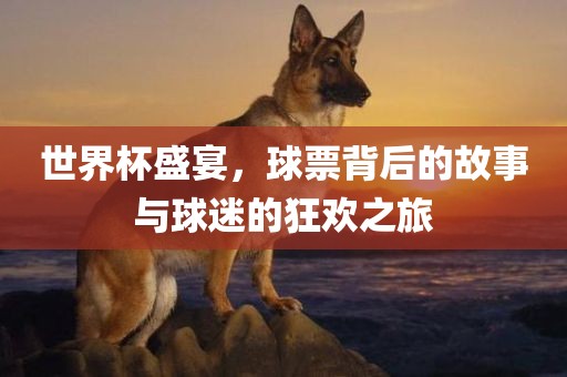 世界杯盛宴，球票背后的故事与球迷的狂欢之旅广西贺州市华昌新材料有限公司