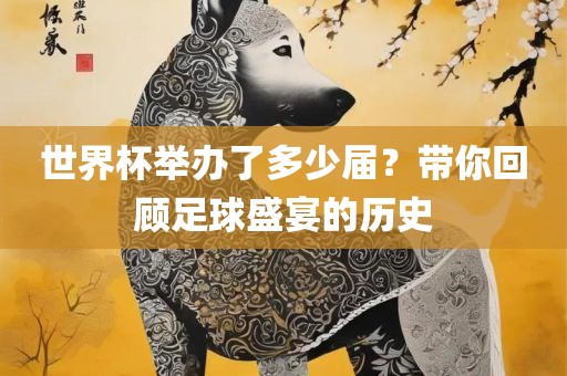 世界杯举办了多少届？带你广西贺州市华昌新材料有限公司回顾足球盛宴的历史