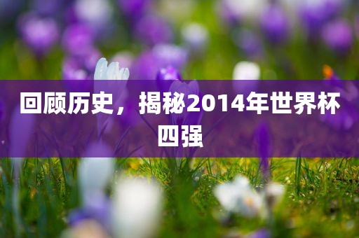 回顾历史，揭秘2014年世界杯四强