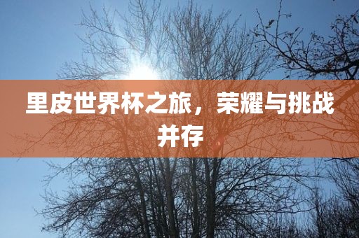 里皮世界杯之旅，荣耀与挑战并存