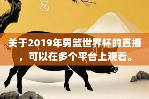 关于2019年男篮世界杯的直播，可以在多个平台上观看。