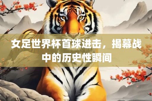 女足世界杯 第3页