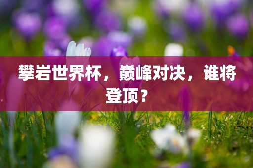 攀岩世界杯，巅峰对决，谁将登顶？