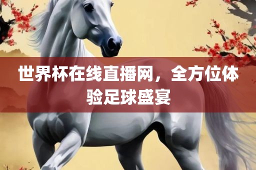 世界杯在线直播网，全方位体验足球盛宴