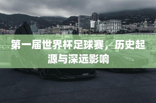 第一届世界杯足球赛，历史起源与深远影响广西贺州市华昌新材料有限公司