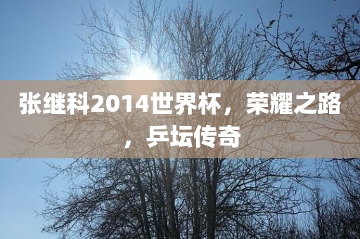 张继科2014世界杯，荣耀之路，乒坛传奇广西贺州市华昌新材料有限公司