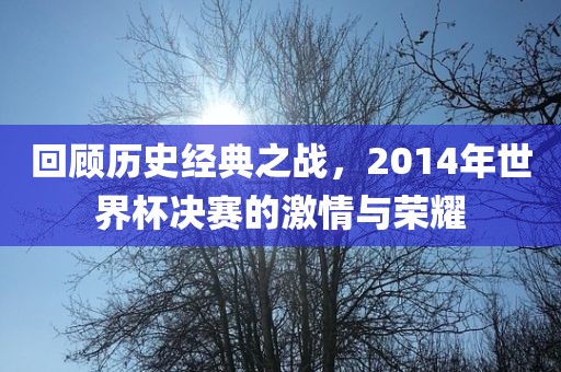 回顾历史经典之战，2014年世界杯决赛的激情与荣耀