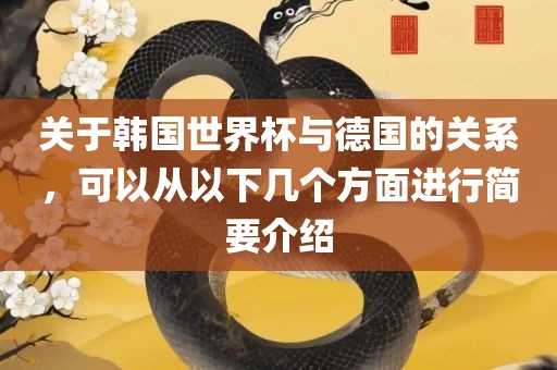 关于韩国世界杯与德国的关系，可以从以下几个方面进行简要介绍