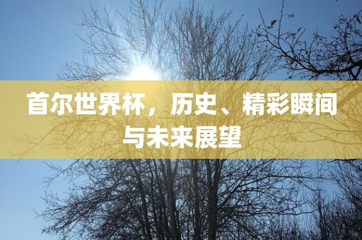 首尔世界杯，历史、精彩瞬间与未来展望广西贺州市华昌新材料有限公司
