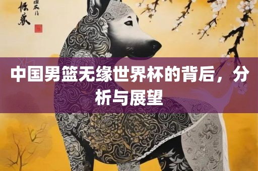 中国男篮无缘世界杯的背后，分析与展望广西贺州市华昌新材料有限公司