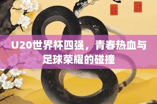U20世界杯四强，青春热血与足球荣耀的碰撞