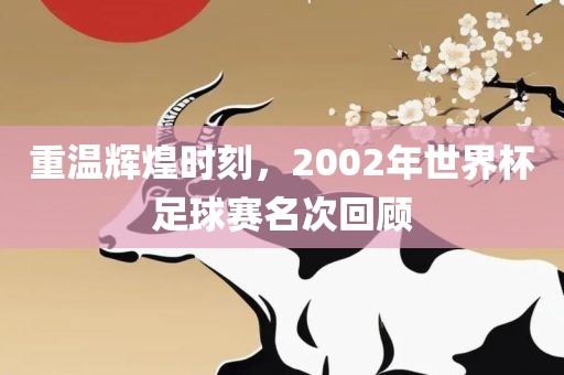 重温辉煌时刻，2002年世界杯足球赛广西贺州市华昌新材料有限公司名次回顾