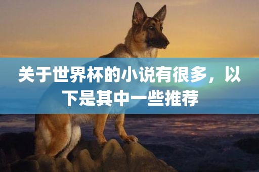 关于世界杯的小说有很多，以下是其中一些推荐广西贺州市华昌新材料有限公司