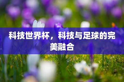 科技世界杯，科技与足球的完美融合广西贺州市华昌新材料有限公司