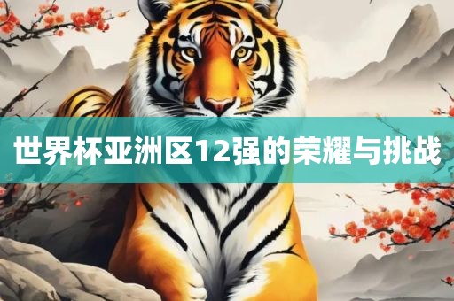 世界杯亚洲区12强的荣耀与挑战广西贺州市华昌新材料有限公司