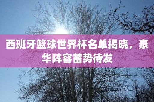 西班牙篮球世界杯名单揭晓，豪华阵容蓄势待发