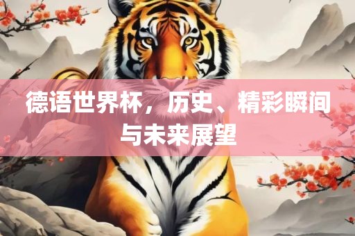 德语世界杯，历史、精彩瞬间与未来展望广西贺州市华昌新材料有限公司