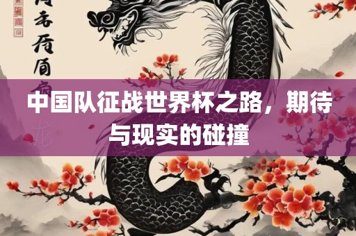 中国队征战世界杯之路，期待与现实的碰撞