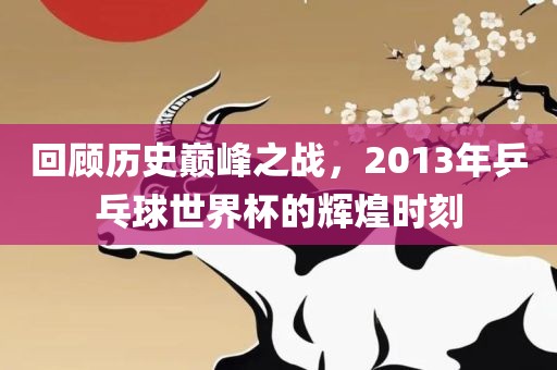 回顾历史巅峰之战，2013年乒乓球世界杯的辉煌时刻广西贺州市华昌新材料有限公司
