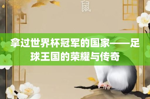 拿过世界杯冠军的国家——足球王国的荣耀与传奇