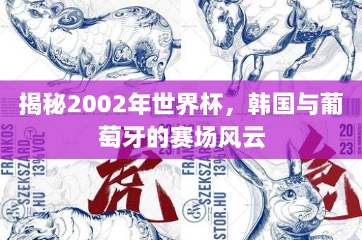 揭秘2002年世界杯，韩国与葡萄牙的赛场风云
