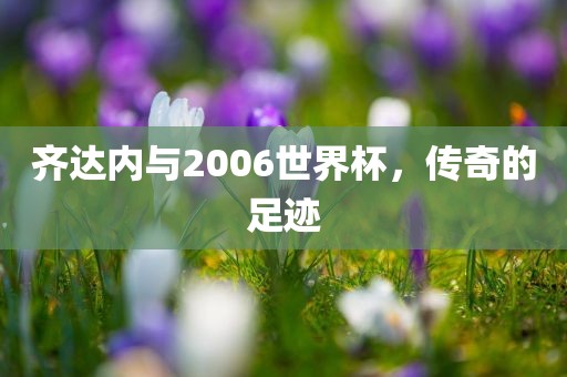 齐达内与2006世界杯，传奇的足迹